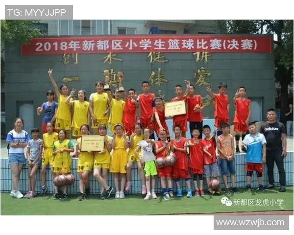 篮球的艺术与科学:深入解析北京篮球队的战术与技术创新之路 篮球的艺术与科学:深入解析北京篮球队的战术与技术创新之路