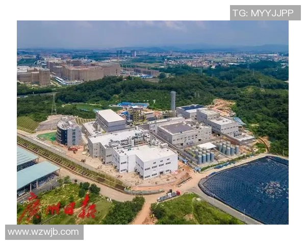 广州羽毛球队防守革新之路探索与实践的深度分析与展望