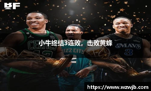 小牛终结3连败，击败黄蜂