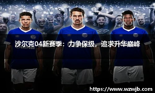 沙尔克04新赛季：力争保级，追求升华巅峰