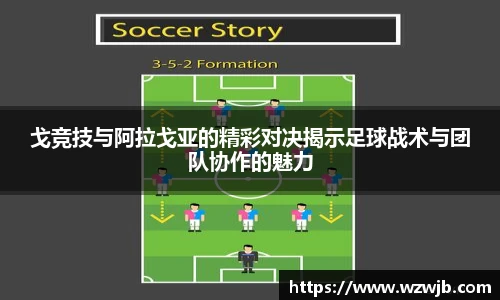 新利体育