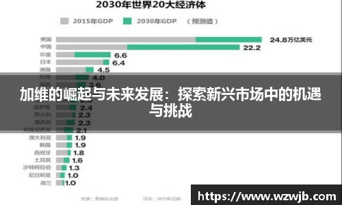 加维的崛起与未来发展：探索新兴市场中的机遇与挑战